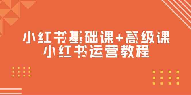 小红书基础课高级课-小红书运营教程（53节视频课）_免费分享网络创业,副业,信息差项目的老牌资源整合平台！金铲子项目