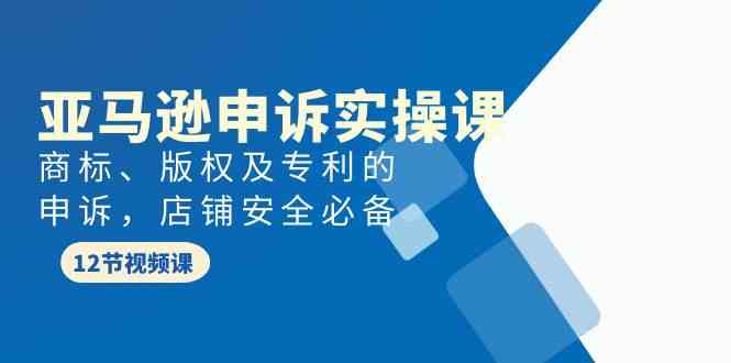 亚马逊申诉实战课，商标、版权及专利的申诉，店铺安全必备_免费分享网络创业,副业,信息差项目的老牌资源整合平台！金铲子项目