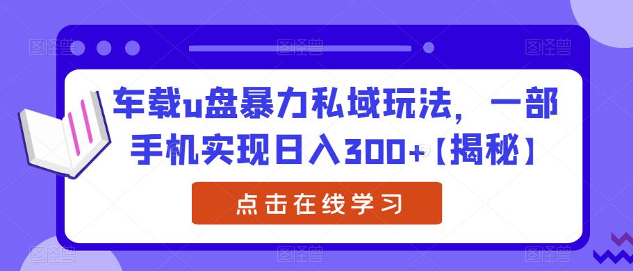 车载u盘暴力私域玩法，一部手机实现【揭秘】_免费分享网络创业,副业,信息差项目的老牌资源整合平台！金铲子项目