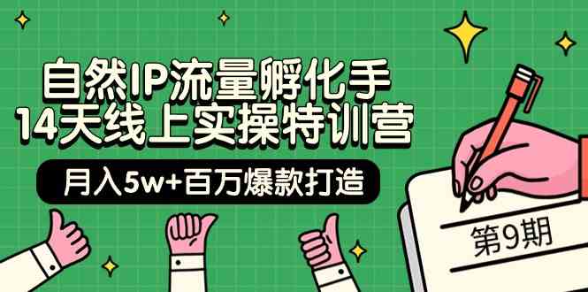 自然IP流量孵化手14天线上实操特训营【第9期】百万爆款打造(74节)_免费分享网络创业,副业,信息差项目的老牌资源整合平台！金铲子项目