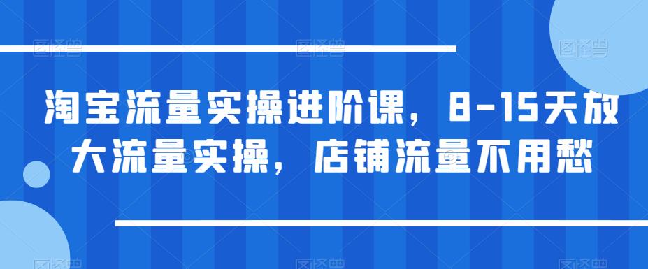 淘宝流量实操进阶课，8-15天放大流量实操，店铺流量不用愁_免费分享网络创业,副业,信息差项目的老牌资源整合平台！金铲子项目