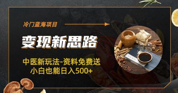 冷门蓝海项目-中医新玩法-资料免费送小白也能【揭秘】_免费分享网络创业,副业,信息差项目的老牌资源整合平台！金铲子项目