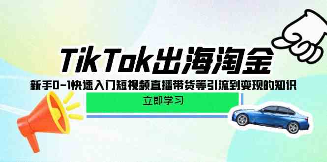 TikTok出海淘金，新手0-1快速入门短视频直播带货等引流到的知识_免费分享网络创业,副业,信息差项目的老牌资源整合平台！金铲子项目