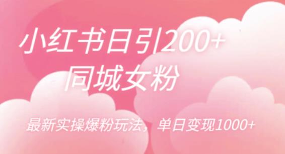 小红书日引同城女粉，最新实操爆粉玩法，单日【揭秘】_免费分享网络创业,副业,信息差项目的老牌资源整合平台！金铲子项目