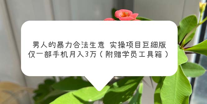 （5962期）男人的暴力合法生意实操项目巨细版：仅一部手机（附赠学员工具箱）_免费分享网络创业,副业,信息差项目的老牌资源整合平台！金铲子项目