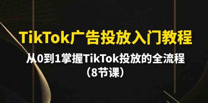TikTok广告投放入门教程，从0到1掌握TikTok投放的全流程（8节课）_免费分享网络创业,副业,信息差项目的老牌资源整合平台！金铲子项目