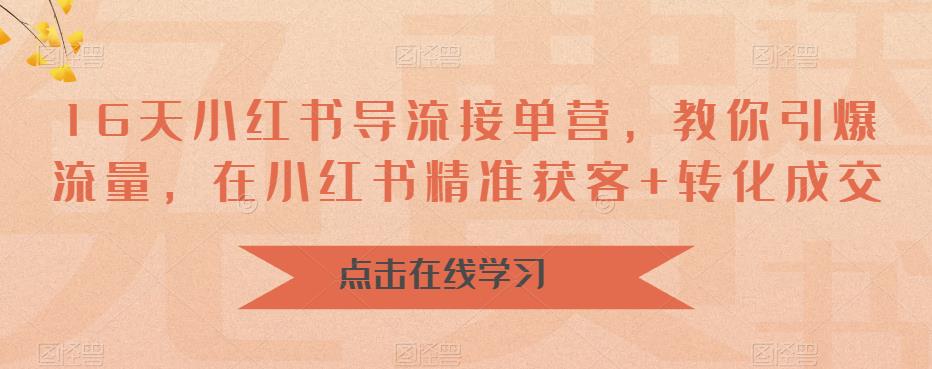 16天小红书导流接单营，教你引爆流量，在小红书精准获客转化成交_免费分享网络创业,副业,信息差项目的老牌资源整合平台！金铲子项目