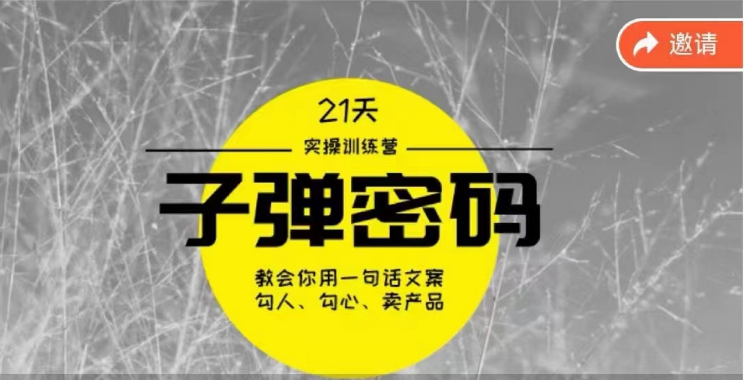 《子弹密码训练营》用一句话文案勾人勾心卖产品，21天学到顶尖文案大师策略和技巧_免费分享网络创业,副业,信息差项目的老牌资源整合平台！金铲子项目
