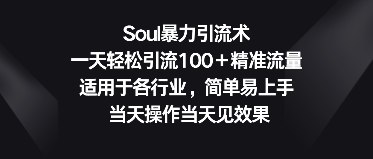 Soul暴力引流术，一天引流精准流量，适用于各行业，简单易上手_免费分享网络创业,副业,信息差项目的老牌资源整合平台！金铲子项目