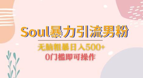 Soul暴力引流男粉玩法，无脑粗暴，0门槛即可操作【揭秘】_免费分享网络创业,副业,信息差项目的老牌资源整合平台！金铲子项目