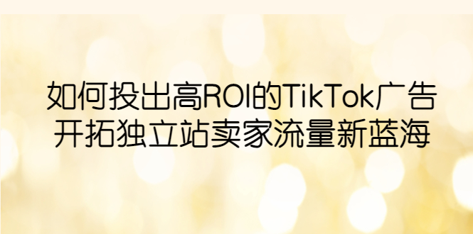 （6102期）如何投出高ROI·TikTok广告，开拓独立站卖家流量新蓝海_免费分享网络创业,副业,信息差项目的老牌资源整合平台！金铲子项目