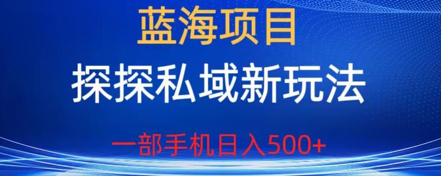蓝海项目，探探私域新玩法，一部手机很【揭秘】_免费分享网络创业,副业,信息差项目的老牌资源整合平台！金铲子项目