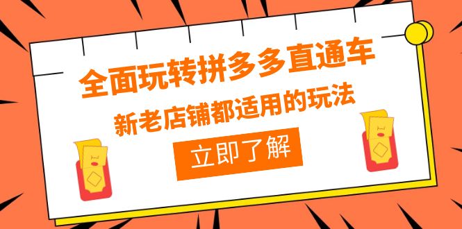 （6294期）全面玩转拼多多直通车，新老店铺都适用的玩法（12节精华课）_免费分享网络创业,副业,信息差项目的老牌资源整合平台！金铲子项目