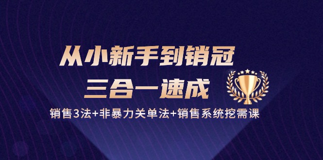 从小新手到销冠三合一速成：销售3法非暴力关单法销售系统挖需课(27节)_免费分享网络创业,副业,信息差项目的老牌资源整合平台！金铲子项目