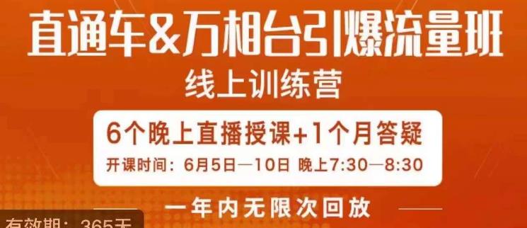 直通车&万相台引爆流量班，6天打通你开直通车·万相台的任督二脉_免费分享网络创业,副业,信息差项目的老牌资源整合平台！金铲子项目