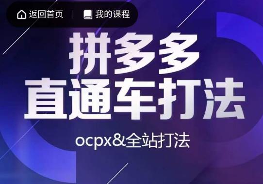互力·拼多多直通车打法，ocpx&全站打法_免费分享网络创业,副业,信息差项目的老牌资源整合平台！金铲子项目
