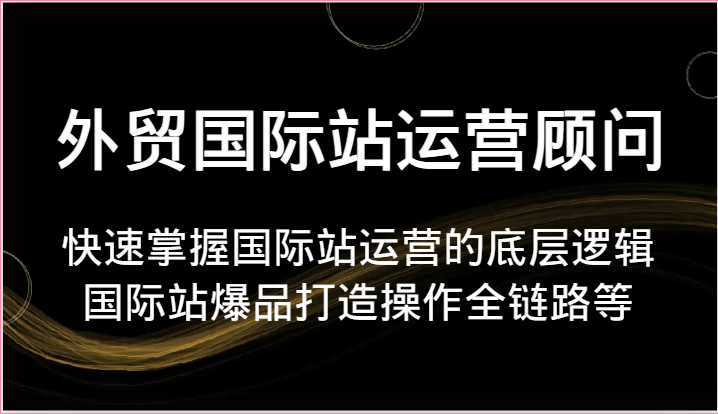 外贸国际站运营顾问-快速掌握国际站运营的底层逻辑，国际站爆品打造操作全链路等_免费分享网络创业,副业,信息差项目的老牌资源整合平台！金铲子项目