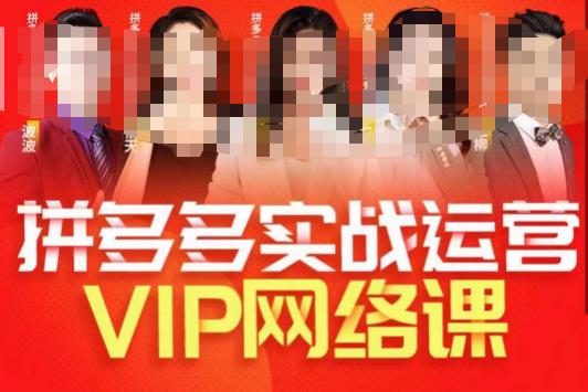推易拼多多VIP全套直播课程，拼多多店铺实操玩法实战玩法选款内功直通车高阶等_免费分享网络创业,副业,信息差项目的老牌资源整合平台！金铲子项目