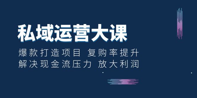 （6455期）私域运营大课：爆款打造项目复购率提升解决现金流压力放大利润_免费分享网络创业,副业,信息差项目的老牌资源整合平台！金铲子项目
