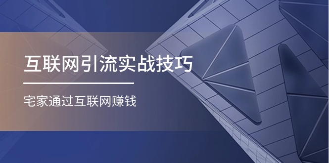 互联网引流实操技巧(适合微商，吸引宝妈)，宅家通过互联网赚钱（17节）_免费分享网络创业,副业,信息差项目的老牌资源整合平台！金铲子项目