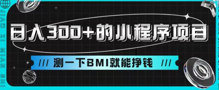 的小程序项目，测一下BMI就能挣钱【揭秘】_免费分享网络创业,副业,信息差项目的老牌资源整合平台！金铲子项目