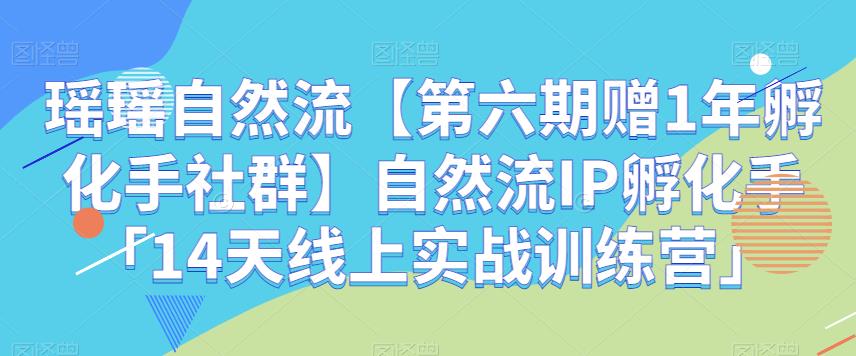 瑶瑶自然流【第六期赠1年孵化手社群】自然流IP孵化手「14天线上实战训练营」_免费分享网络创业,副业,信息差项目的老牌资源整合平台！金铲子项目