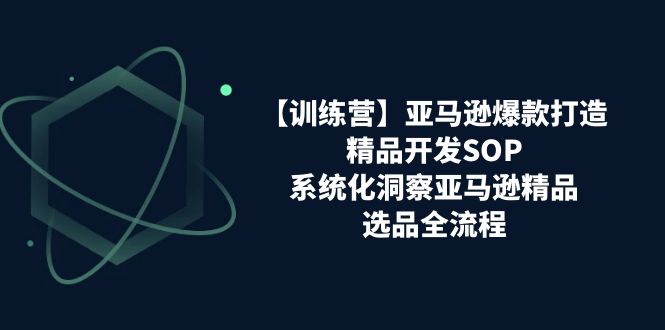 亚马逊爆款打造之精品开发SOP【训练营】，系统化洞察亚马逊精品选品全流程_免费分享网络创业,副业,信息差项目的老牌资源整合平台！金铲子项目