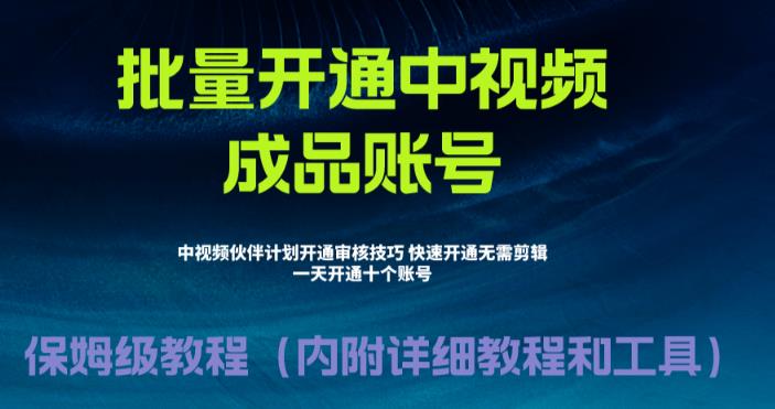 （6561期）外面收费1980暴力开通中视频计划教程，附快速通过中视频伙伴计划的办法_免费分享网络创业,副业,信息差项目的老牌资源整合平台！金铲子项目