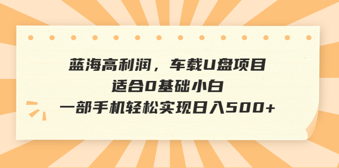 （6600期）蓝海高利润，车载U盘项目，适合0基础小白，一部手机实现_免费分享网络创业,副业,信息差项目的老牌资源整合平台！金铲子项目