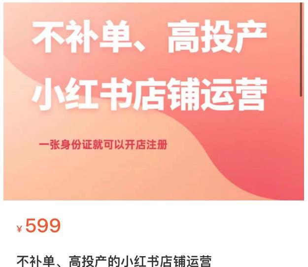不补单、高投产的小红书店铺运营，一张身份证就可以开店注册_免费分享网络创业,副业,信息差项目的老牌资源整合平台！金铲子项目