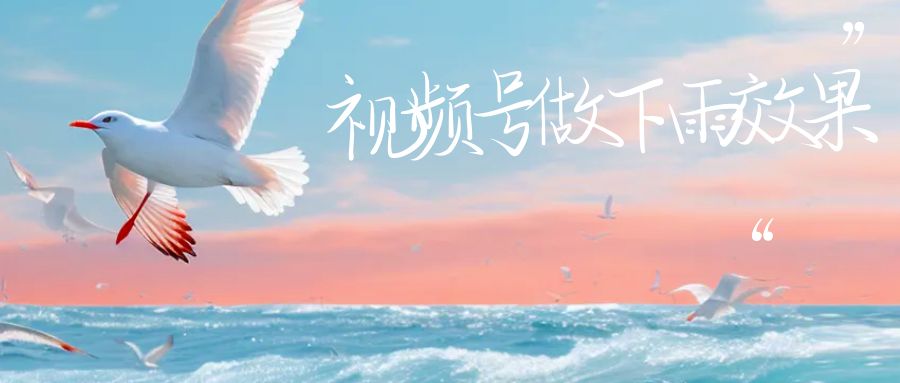 （6637期）视频号做下雨视频，一个账号一周涨粉附保姆级教程_免费分享网络创业,副业,信息差项目的老牌资源整合平台！金铲子项目