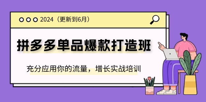 2024拼多多单品爆款打造班，充分应用你的流量，增长实战培训(更新6月)_免费分享网络创业,副业,信息差项目的老牌资源整合平台！金铲子项目