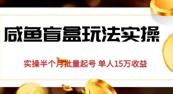 独家首发咸鱼盲盒玩法实操，半个月批量起号单人15万【揭秘】_免费分享网络创业,副业,信息差项目的老牌资源整合平台！金铲子项目