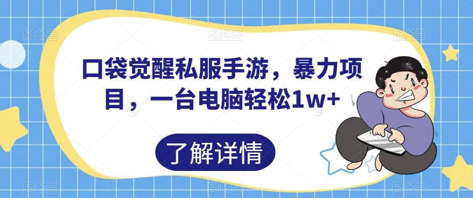 口袋觉醒私服手游，暴力项目，一台电脑【揭秘】_免费分享网络创业,副业,信息差项目的老牌资源整合平台！金铲子项目