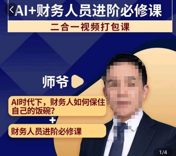 AI财务人员进阶必修课二合一视频打包课，财务人员进阶必修课_免费分享网络创业,副业,信息差项目的老牌资源整合平台！金铲子项目