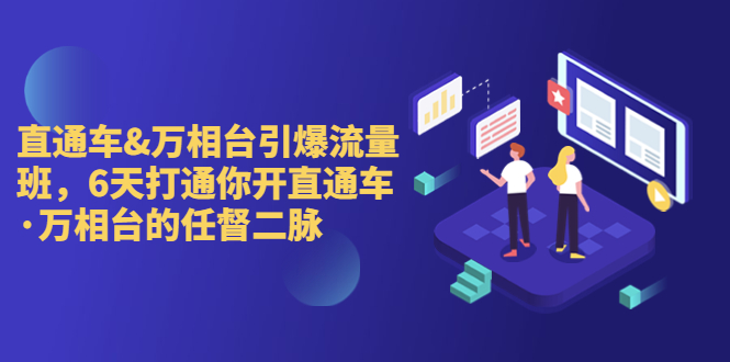（6757期）直通车万相台引爆流量班，6天打通你开直通车·万相台的任督二脉_免费分享网络创业,副业,信息差项目的老牌资源整合平台！金铲子项目