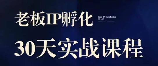 诸葛·2023老板IP实战课，实体同城引流获客，IP孵化必听_免费分享网络创业,副业,信息差项目的老牌资源整合平台！金铲子项目