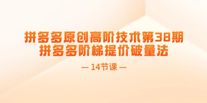 拼多多原创高阶技术第38期，拼多多阶梯提价破量法（14节课）_免费分享网络创业,副业,信息差项目的老牌资源整合平台！金铲子项目