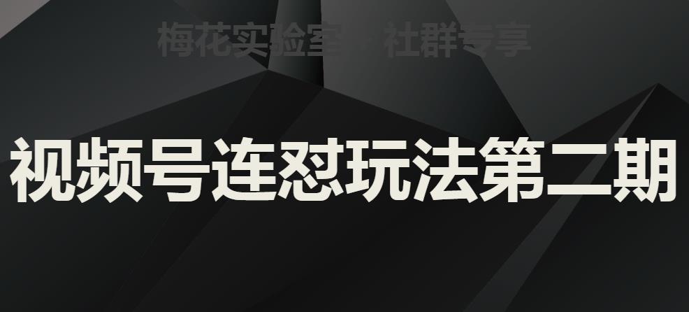 梅花实验室社群视频号连怼玩法第二期，实操讲解全部过程_免费分享网络创业,副业,信息差项目的老牌资源整合平台！金铲子项目