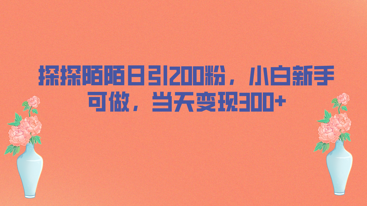 （6817期）探探陌陌日引200粉，小白新手可做，就能_免费分享网络创业,副业,信息差项目的老牌资源整合平台！金铲子项目