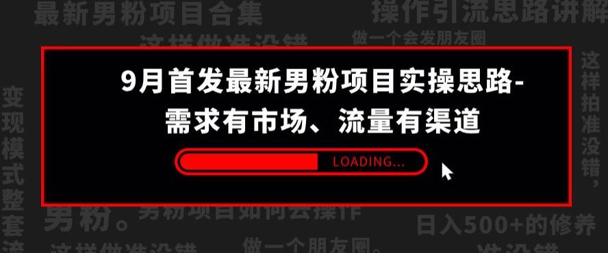 9月首发最新男粉项目实操思路-需求有市场，流量有渠道【揭秘】_免费分享网络创业,副业,信息差项目的老牌资源整合平台！金铲子项目