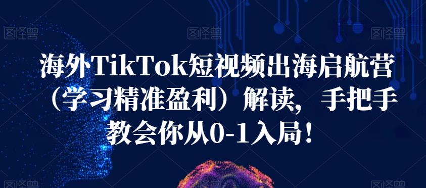 海外TikTok短视频出海启航营（学习精准盈利）解读，手把手教会你从0-1入局_免费分享网络创业,副业,信息差项目的老牌资源整合平台！金铲子项目