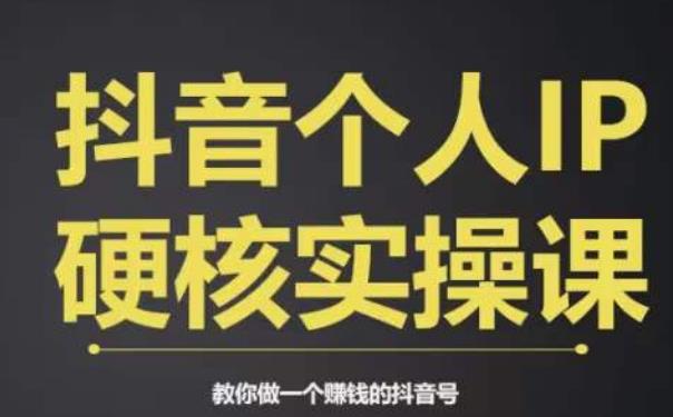 个人IP创富系统实战课，商业定位，流量打造，短视频，教你做个赚钱的抖音号_免费分享网络创业,副业,信息差项目的老牌资源整合平台！金铲子项目