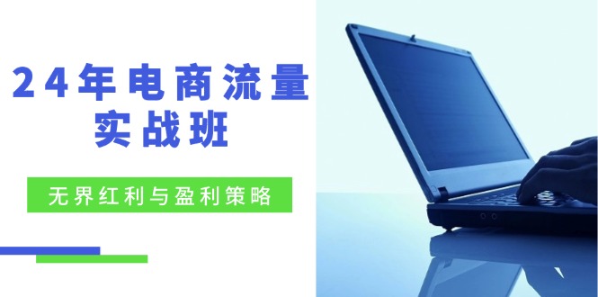 电商流量实战班：无界红利与盈利策略，终极提升/关键词优化/精准人群拓展/创新玩法_免费分享网络创业,副业,信息差项目的老牌资源整合平台！金铲子项目