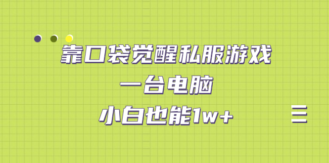 （7113期）靠口袋觉醒私服游戏，一台电脑，小白也能（教程工具资料）_免费分享网络创业,副业,信息差项目的老牌资源整合平台！金铲子项目