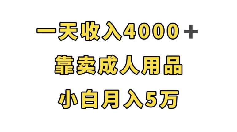 一天4000，靠卖成人用品，小白5万【揭秘】_免费分享网络创业,副业,信息差项目的老牌资源整合平台！金铲子项目