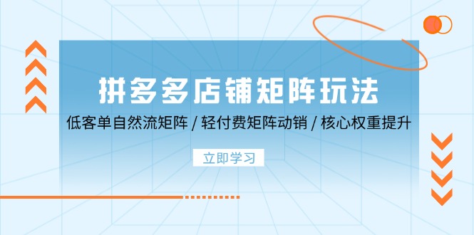 拼多多店铺矩阵玩法：低客单自然流矩阵/轻付费矩阵动销/核心权重提升_免费分享网络创业,副业,信息差项目的老牌资源整合平台！金铲子项目