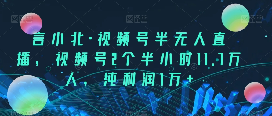 言小北·视频号半无人直播，视频号2个半小时11.7万人，纯利润1万_免费分享网络创业,副业,信息差项目的老牌资源整合平台！金铲子项目