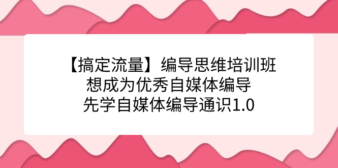（7281期）【搞定流量】编导思维培训班，想成为优秀自媒体编导先学自媒体编导通识1.0_免费分享网络创业,副业,信息差项目的老牌资源整合平台！金铲子项目