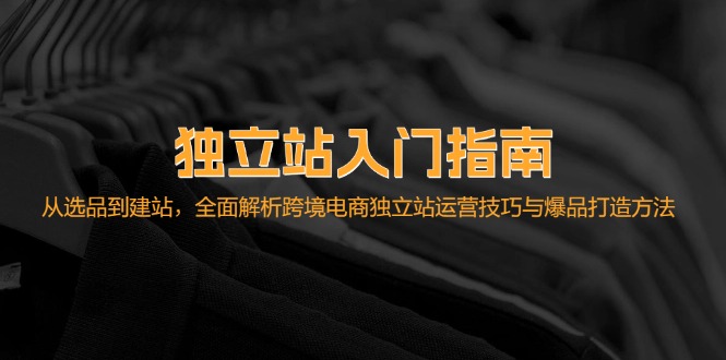 独立站入门指南：从选品到建站，全面解析跨境电商独立站运营技巧与爆品打造方法_免费分享网络创业,副业,信息差项目的老牌资源整合平台！金铲子项目
